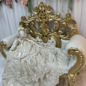 MODELO MINERVA